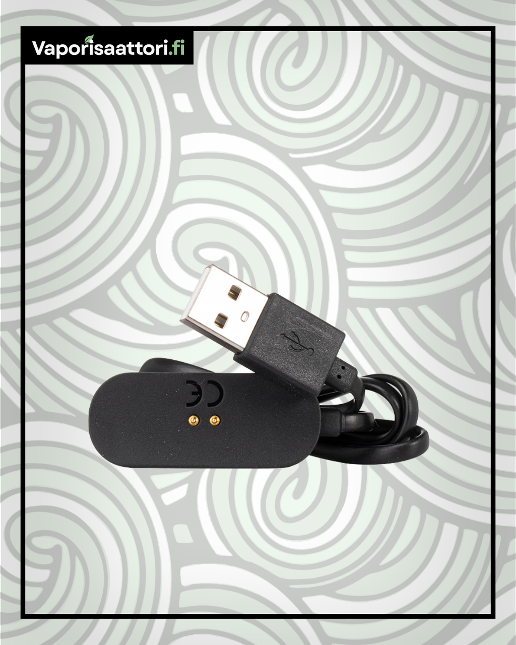 PAX Mini Charger