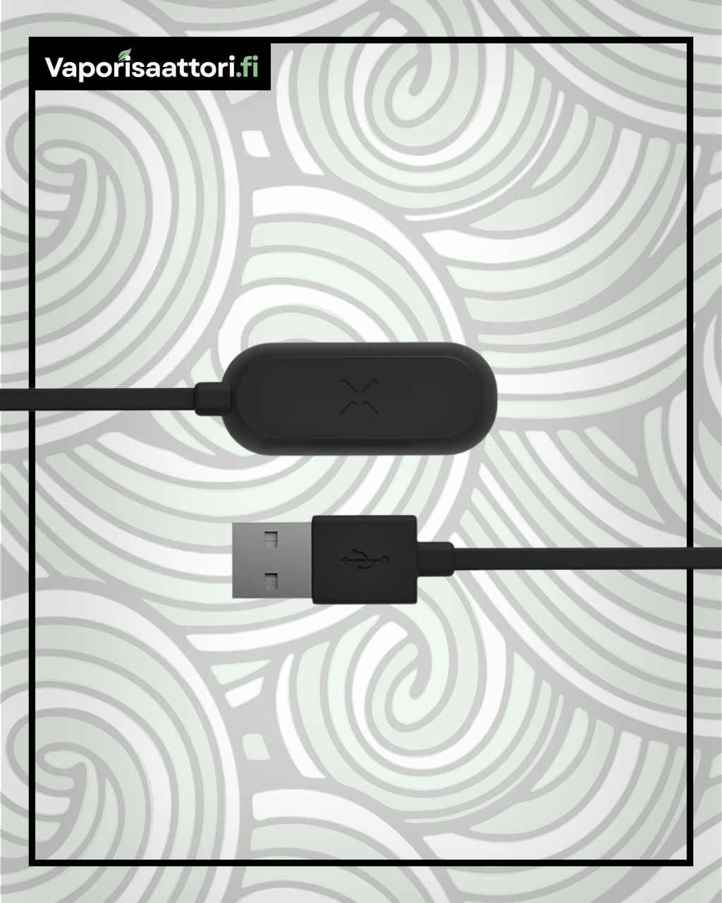 PAX Mini Charger