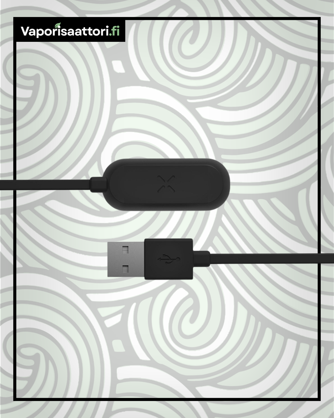 PAX Mini Charger